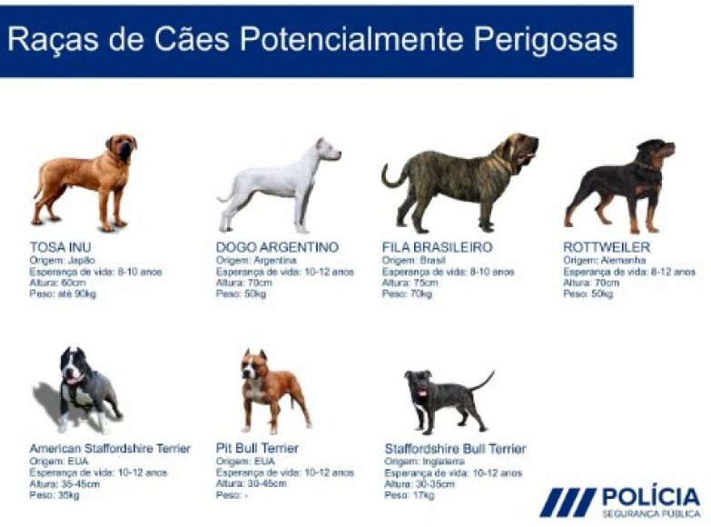 FORMAÇÃO PARA DETENTORES DE CÃES PERIGOSOS OU POTENCIALMENTE PERIGOSOS.
